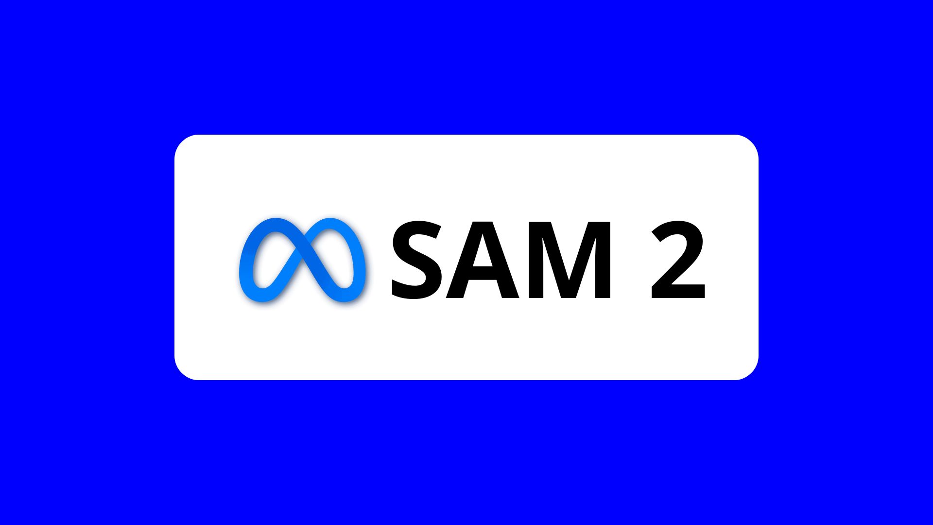 SAM 2: Cómo probar la herramienta de segmentación de objetos de Meta